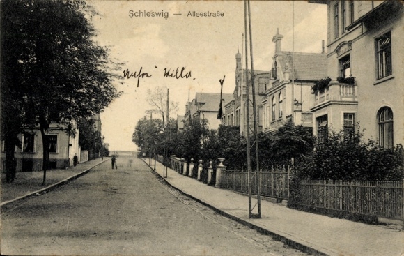 Ak Sleeswijk an der Schlei, Alleestraße