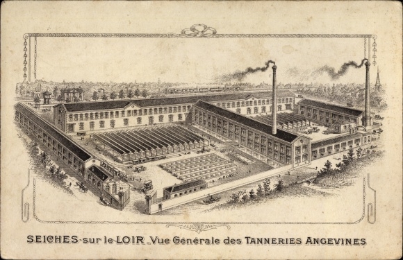 Postcard Cuttlefish on the Loir Maine et Loire, General view of the Tanneries Angevines