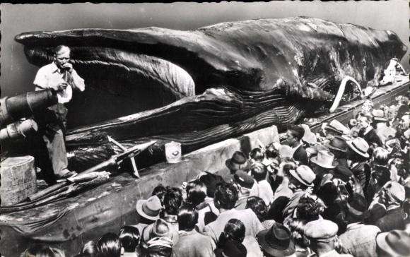 Postcard Jonah, the Giant Whale, Exhibition