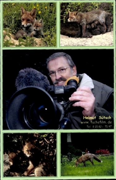 Postcard animal filmmaker Helmut Sütsch, portrait, autograph, foxes