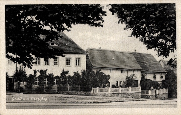 Ak Droyßig im Burgenlandkreis, Teilansicht, Wohnhäuser