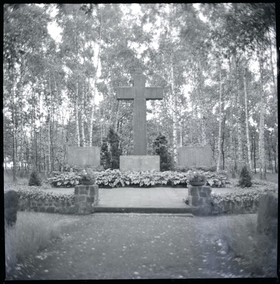8 celluloid negatives Dauelsen Verden on the Aller, forest, cemetery, economy