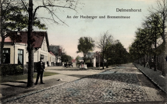 Postcard Delmenhorst in Oldenburg, facing Hasberger and Bremerstraße, trees, houses, street lamps