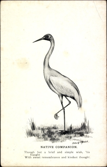 Artist Postcard Moule, D., Native Companion, Crane