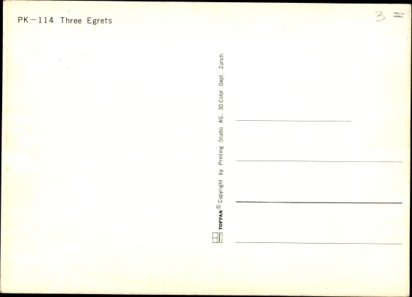 3-D Postcard Three white herons