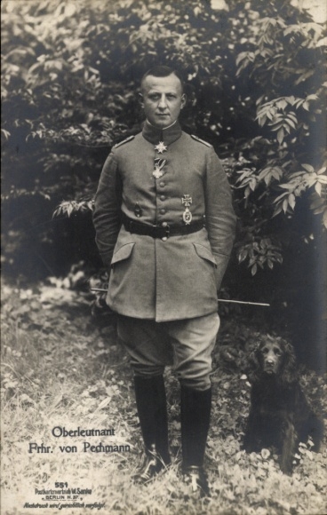 Postcard fighter pilot First Lieutenant Baron von Pechmann, portrait, dog, Sanke No. 551