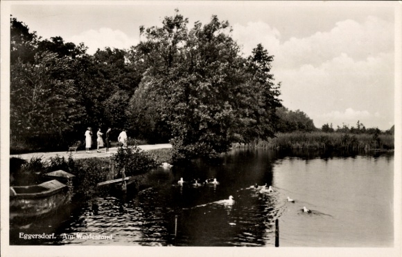 Ak Eggersdorf Brandenburg, aan de rand van het bos, oeverpad