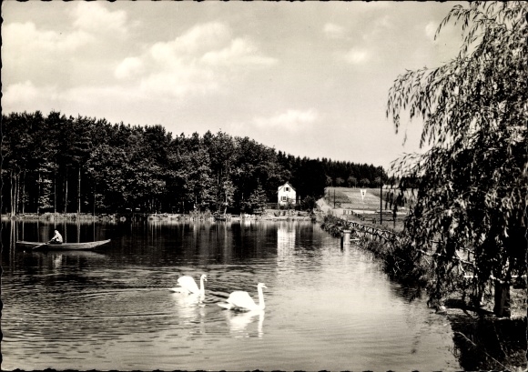 Ansichtkaart Hünfeld in Hessen, vijverspel, zwanen