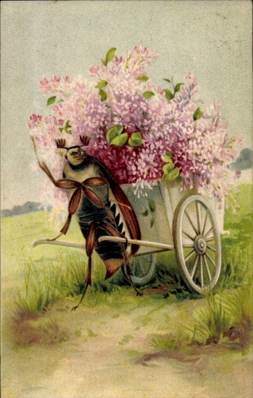 Embossed Chromo-Litho Maybug, Flowers