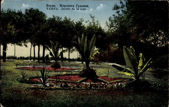 KP Varna Warna Bułgaria, Jardin de la mer, ogrody, palmy