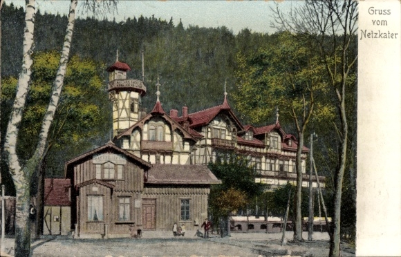 Ak Netzkater Ilfeld am Harz Thüringen, Historisches Gebäude, Bäume, farbenfrohe Darstellung