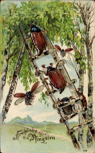 Embossed Postcard Happy Pentecost, May beetle on a ladder, birch trees