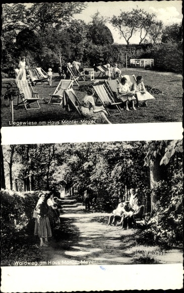 Ak Bad Laer in Niedersachsen, Haus Mönter Meyer, Liegewiese, Waldweg