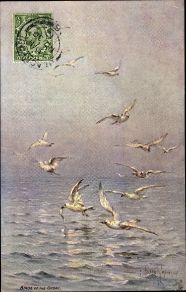 Artist PC Birds of the Ocean, seagulls with prey