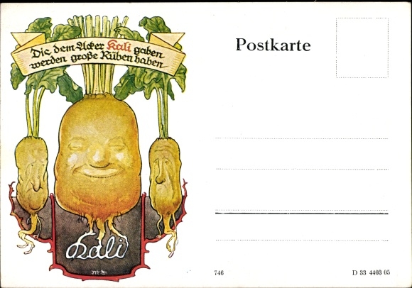 Postcard advertising, those who gave potash to the field will have large turnips