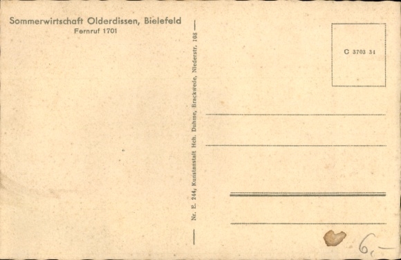 Ak Bielefeld in Noordrijn-Westfalen, Dierentuin Olderdissen, Ooievaars