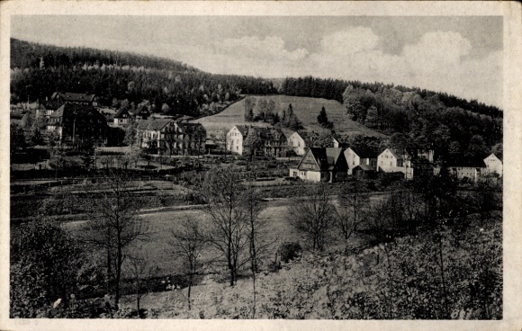 Ak Bienenmühle im Erzgebirge, Gesamtansicht