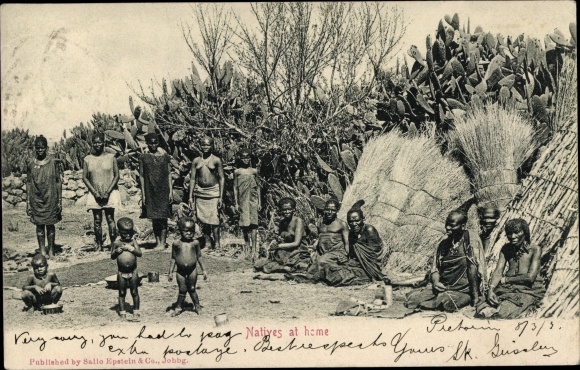 Postcard Pretoria South Africa, Natives at home, cacti
