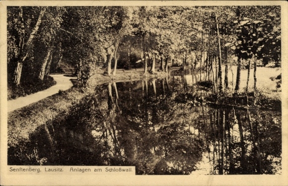 KP Senftenberg w Dolnych Łużycach, sielankowy krajobraz, woda, drzewa, odbicie, Senften...