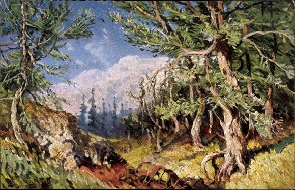 13 AK im Umschlag, farbige Kunstpostkarten Landschaftsbilder aus dem heiligen Lande, von m Meingoldt