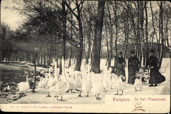 Postcard Kampen Overijssel Netherlands, In Parksoen