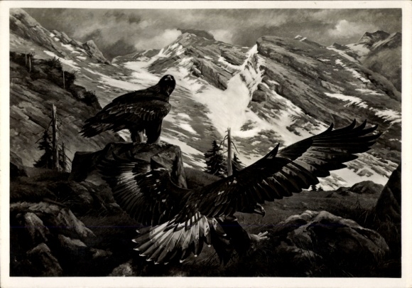 Artist PC Kiefer, Michael, golden eagle, mountains, HDK 524