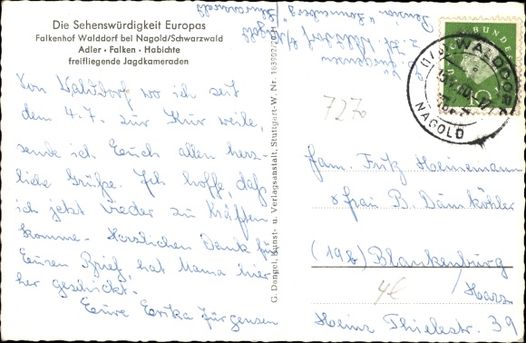 PC Walddorf Altensteig Baden Württemberg, Falkenhof, common raven, peregrine falcon, white-tailed eagle, red kite