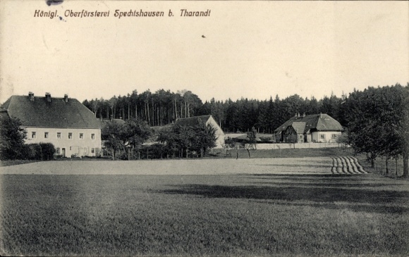 Ak Spechtshausen Hartha Hintergersdorf Tharandt im Erzgebirge, Königliche Oberförsterei