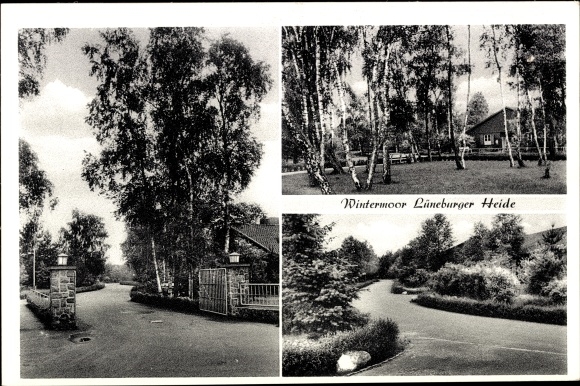 Postcard Wintermoor Schneverdingen in the Lüneburg Heath, gardens, residential building, street section