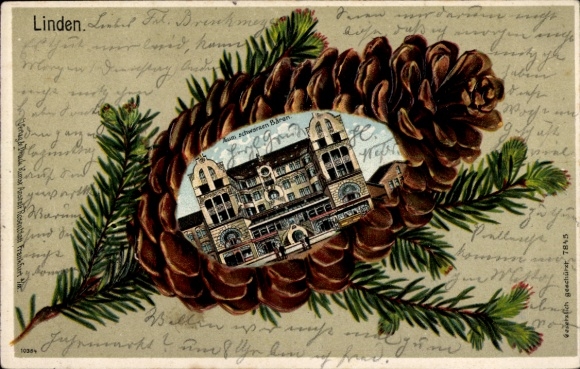 Pine cone litho Linden Hannover in Lower Saxony, Zum schwarzen Bären
