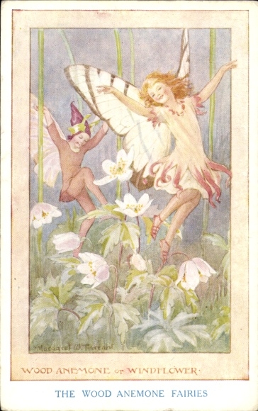 Artist Postcard Tarrant, Margaret W., Wood Anemone, Windflower, Elves