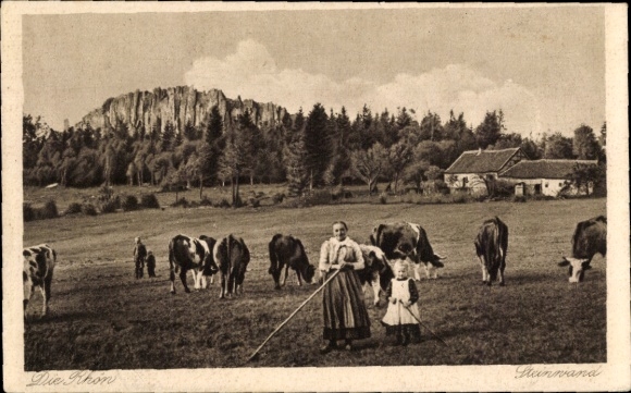 KP Poppenhausen na Wasserkuppe Rhön, kamienny mur, bydło na pastwisku