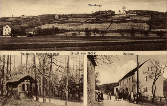 Ak Golk Diera Zehren in Sachsen, Weinberge, Waldhütte, Bismarckdenkmal, Gasthaus