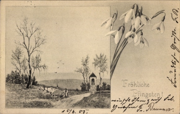 Postcard Happy Pentecost, Snowdrops