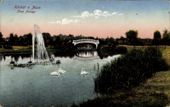 Postcard Frankfurt am Main Höchst, view of the Neue Anlage, swans