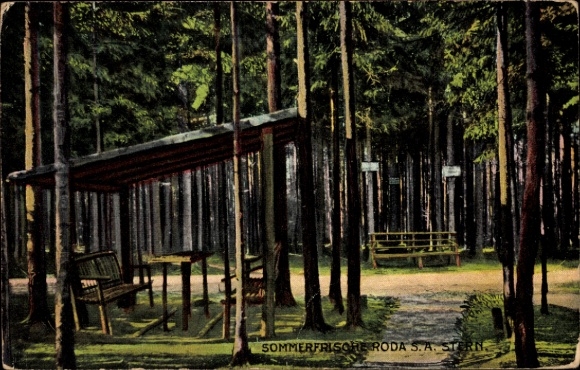 Ak Roda Stadtroda in Thüringen, Waldlandschaft, Sitzgelegenheiten, Wegweiser, Sommerfrische Roda 