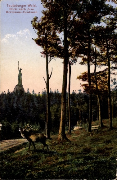 Ak Detmold am Teutoburger Wald, Blick nach dem Hermanns-Denkmal, Hirsch