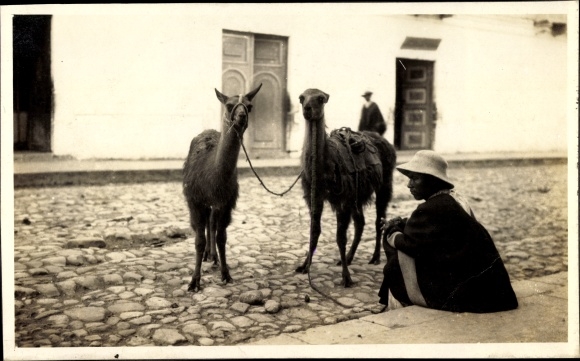 Photo llamas, street game, Indio, around 1920