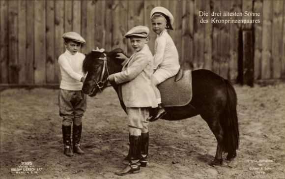 Postcard The three eldest sons of the crown prince couple, Prince Wilhelm, Louis Ferdinand, Hubertus, Pony