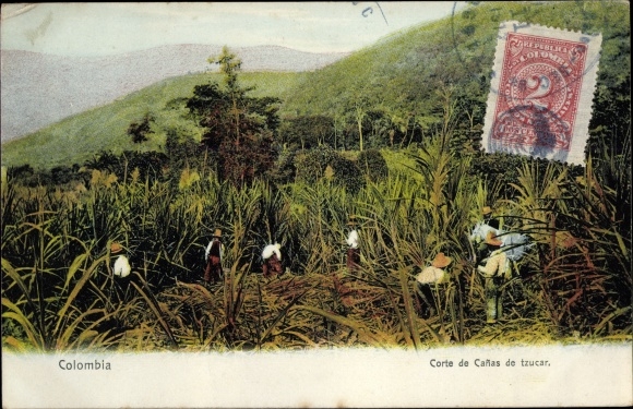 Postcard Colombia Kolumbien, Corte de Canas de tzucar