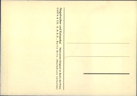 Artist Postcard Wendt, nail ray and cat shark