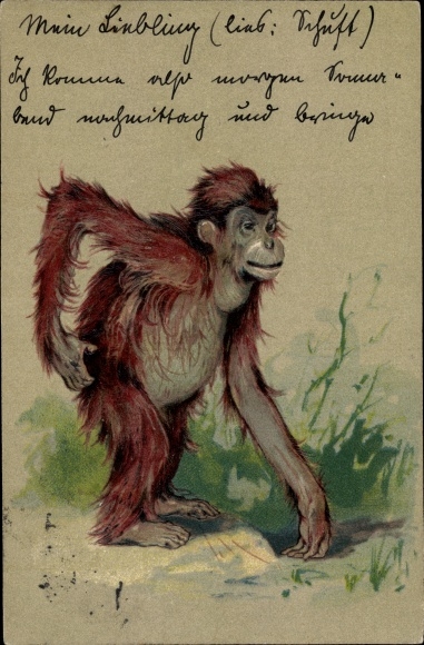 Embossed Chromo-Litho A Young Orangutan, Scratching His Back