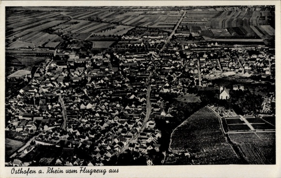 Ak Osthofen in Rheinhessen, Luftaufnahme von Osthofen, Landschaft, Häuser, Felder