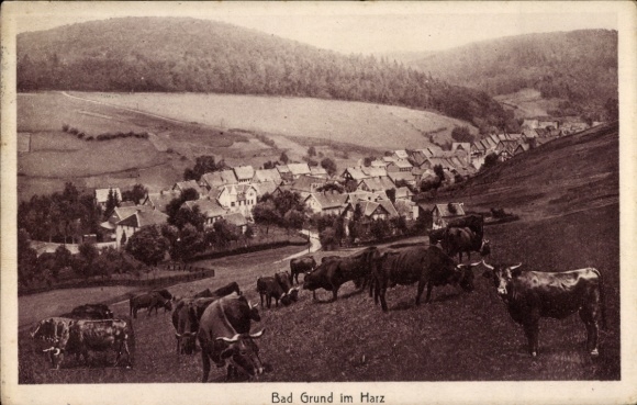 Ak Bad Grund im Harz, Panorama, Kuhweide