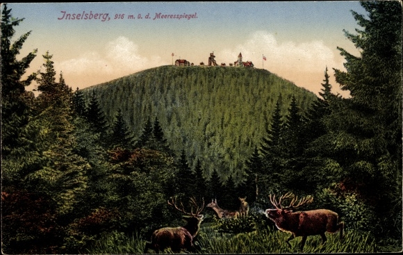 Postcard Brotterode Trusetal in Thuringia, Inselsberg, deer