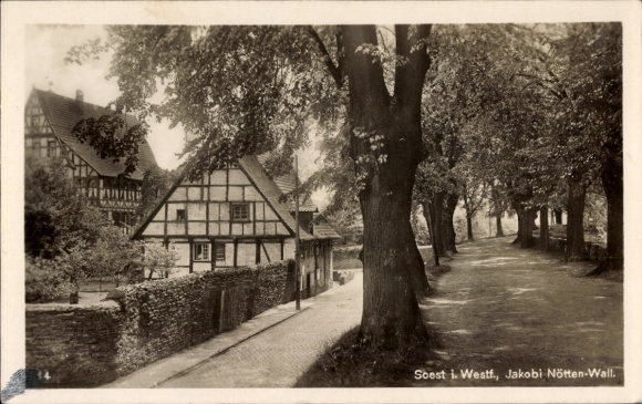 Ak Soest in Westfalen, Historisches Fachwerkhaus, Baumallee, ruhige Straße, Schwarz-Weiß-Fotograf
