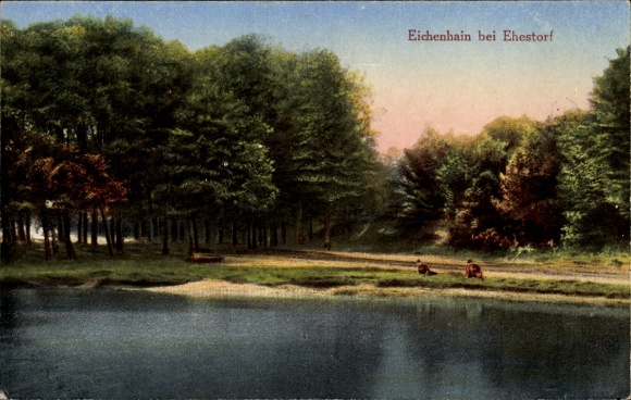 Ak Ehestorf Rosengarten in Niedersachsen, Eichenhain