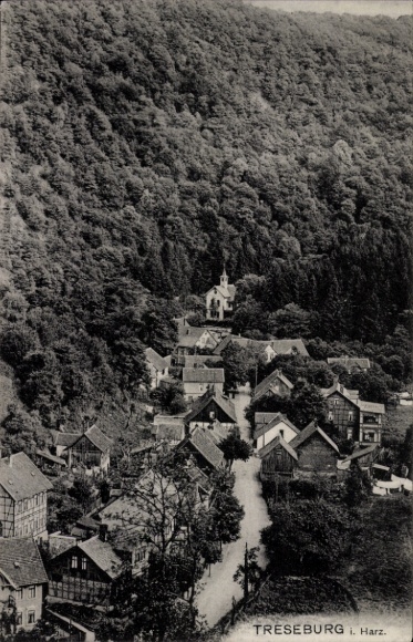 Ak Treseburg Thale im Harz, Gesamtansicht