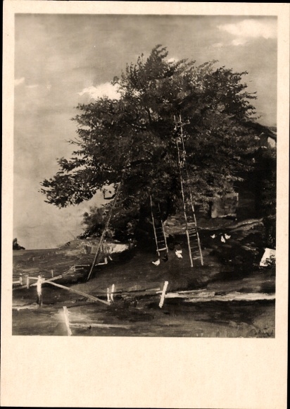 Artist Postcard Padua, Paul Matthias, Cherry Picking, HDK 569