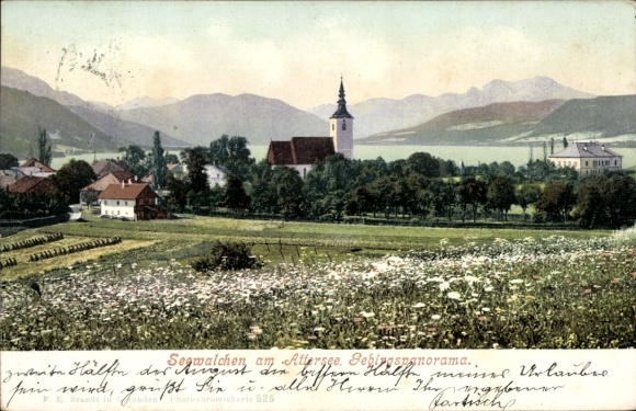Ak Seewalchen am Attersee in Oberösterreich, Gesamtansicht